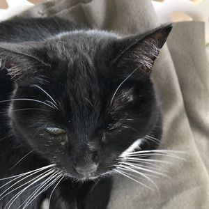 Meet your Posher, Nancy